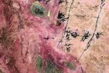 Polished Rhodonite Slab - Australia #239721-1